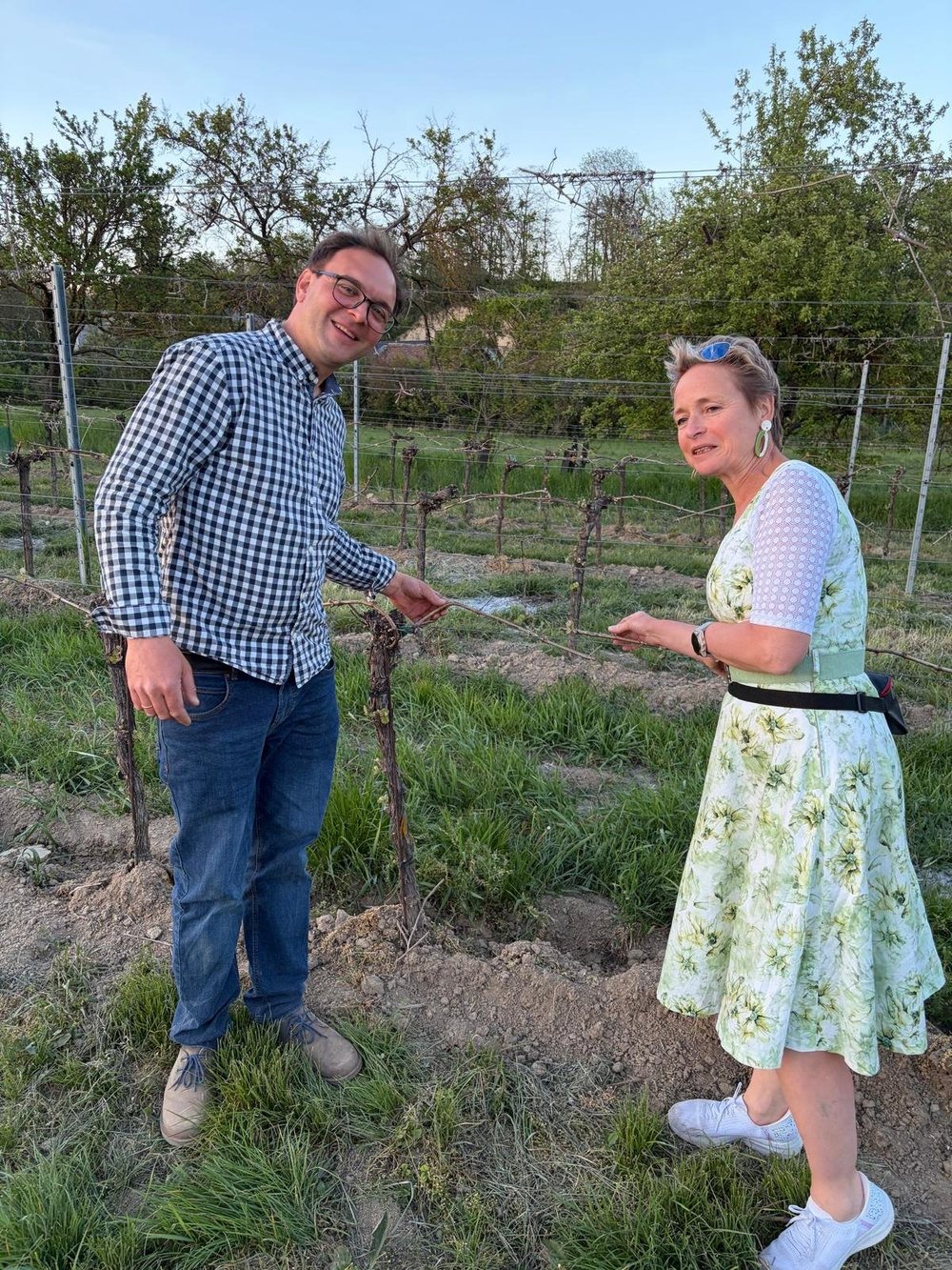Mais tarde ao contrário: a Liane com o Johannes na vinha, em Ottenthal.